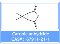 Caronic anhydride